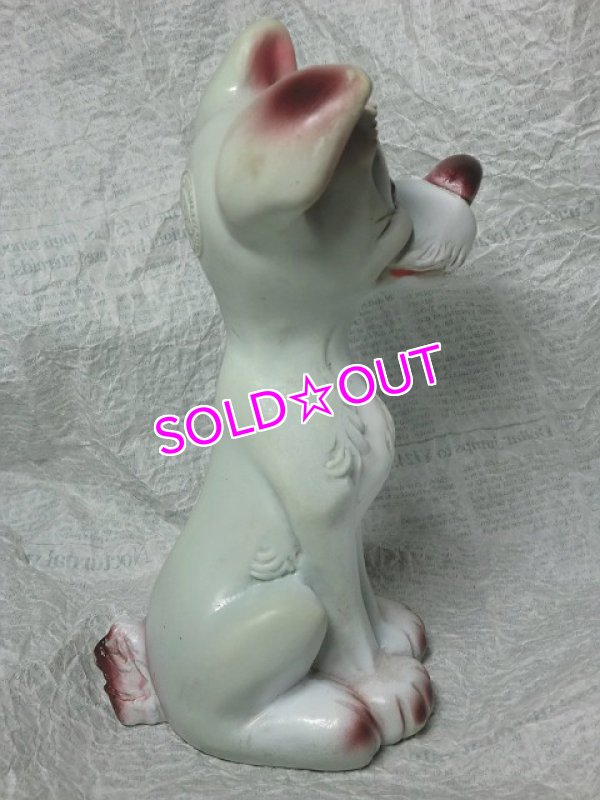 画像4: トランプ・ラバードールH (4)