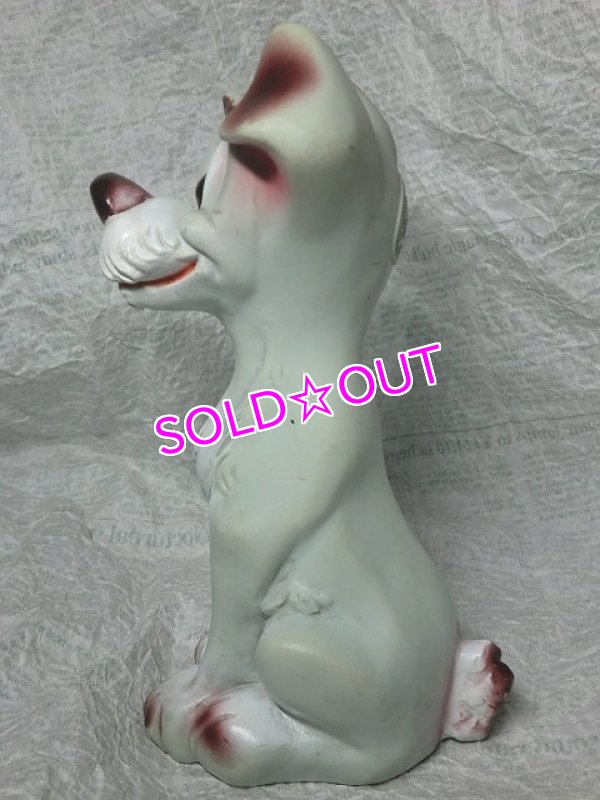 画像3: トランプ・ラバードールH (3)