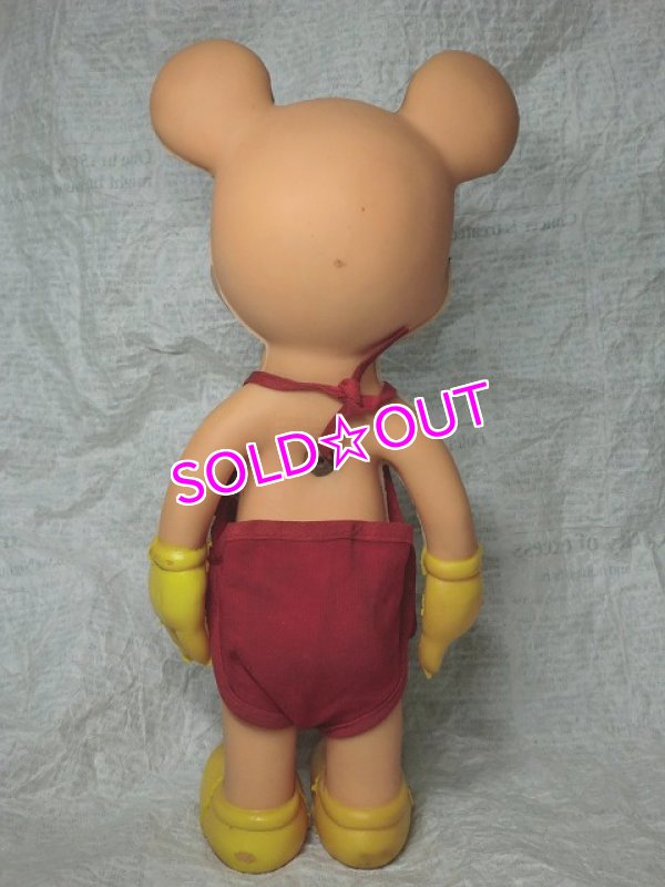 画像2: ミッキー・サンラバードール (2)