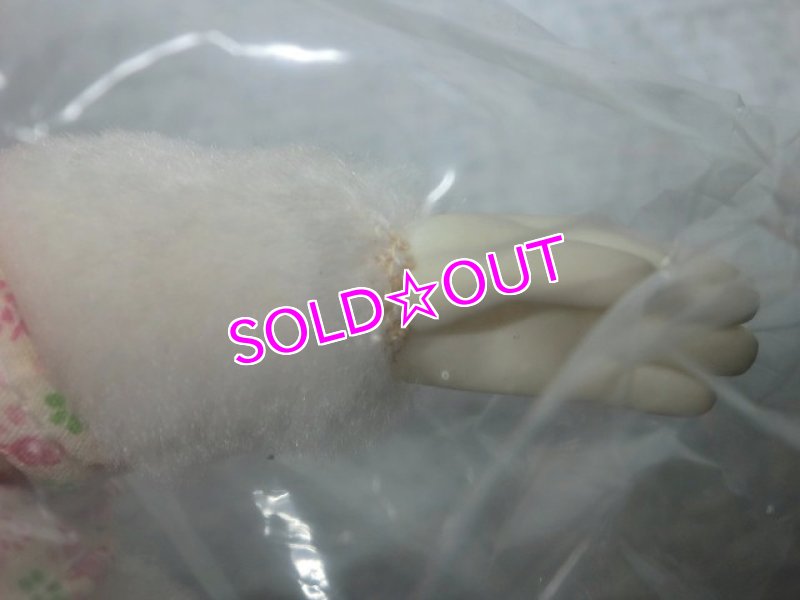 画像4: デイジーダックぬいぐるみ (4)