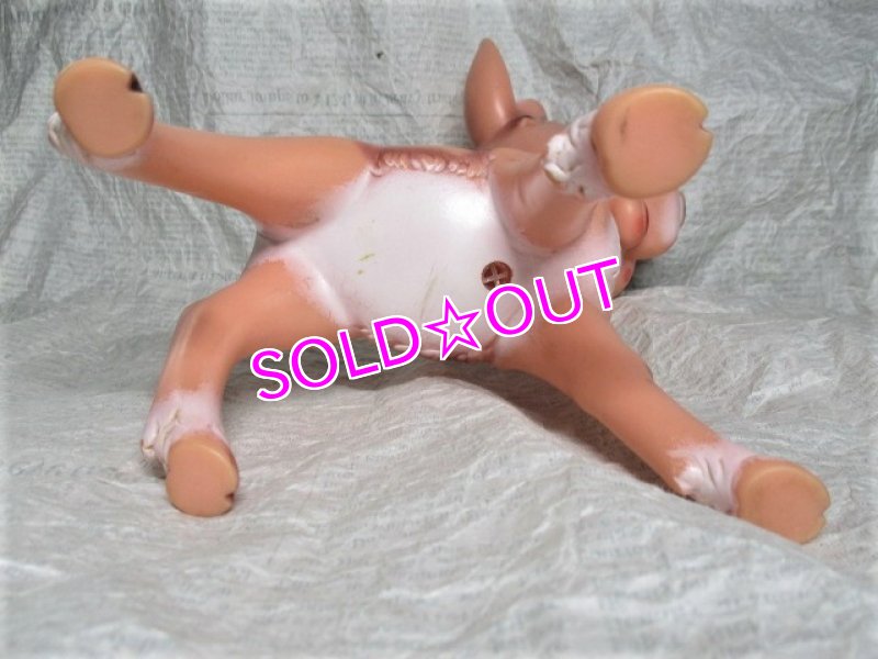 画像5: バンビラバードール (5)